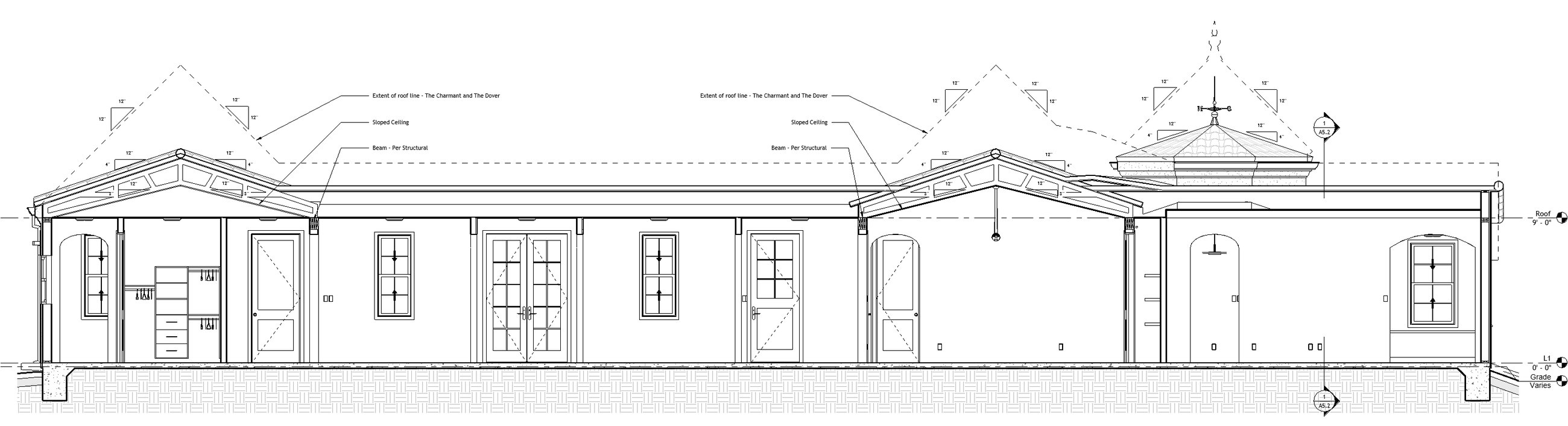 Section Longitudinal (All)